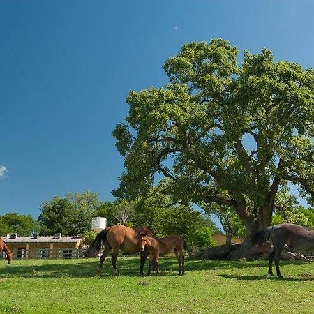 Pousada Chacara Das Roseiras Bagé Exterior foto